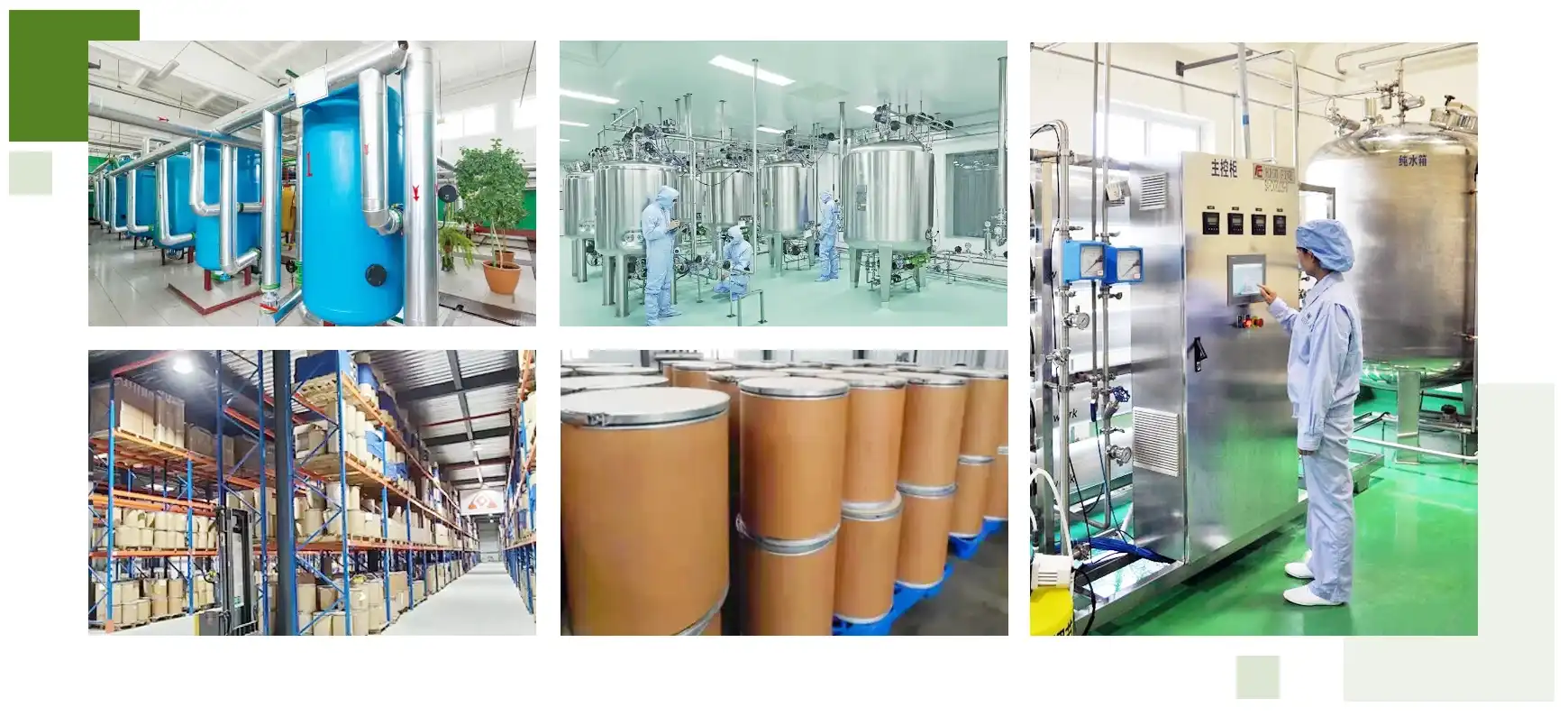 Bird's-Nes-peptide-factory