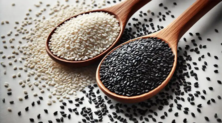 Sesamin-Powder-supplier