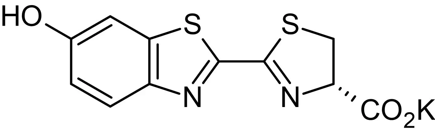 d-luciferin-potassium-salt-manufacturer