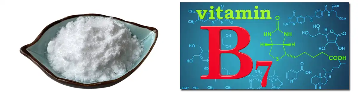 product-1-1 product-1-1