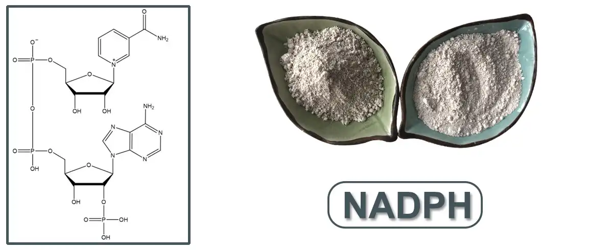 product-1-1