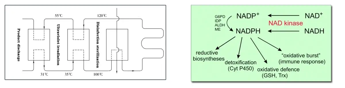 product-1-1
