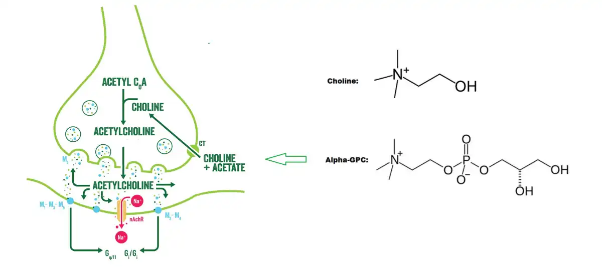 product-1-1 product-1-1