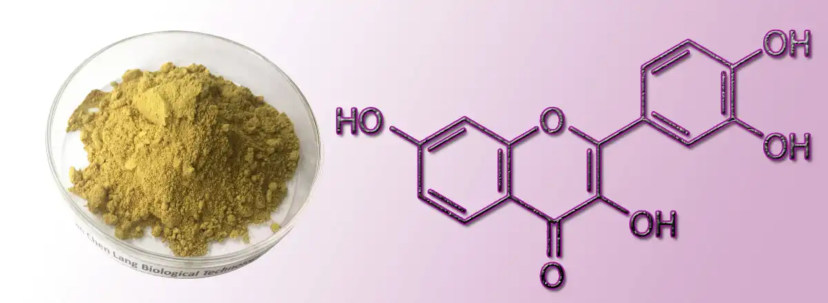 product-1-1 product-1-1