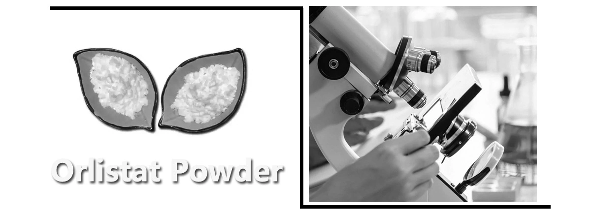 product-1-1 product-1-1