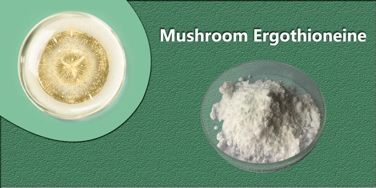 product-1-1 product-1-1