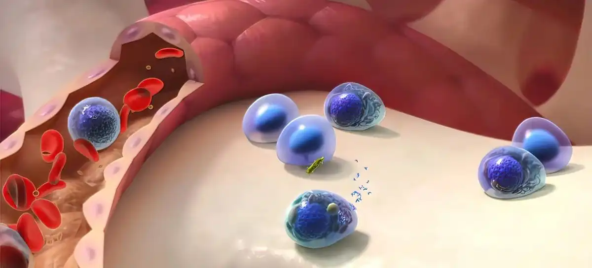 product-1-1 product-1-1