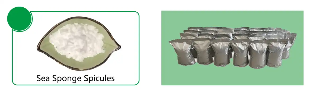 product-1-1