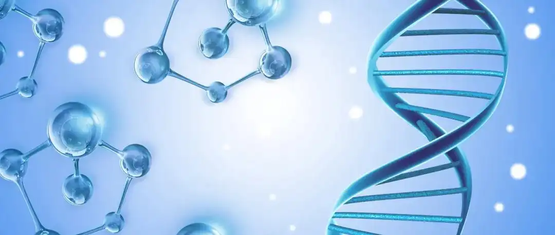 product-1-1 product-1-1