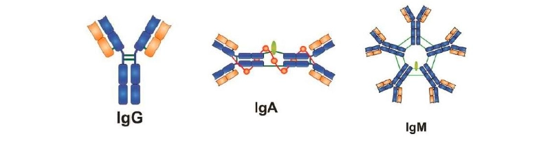 product-1-1 product-1-1