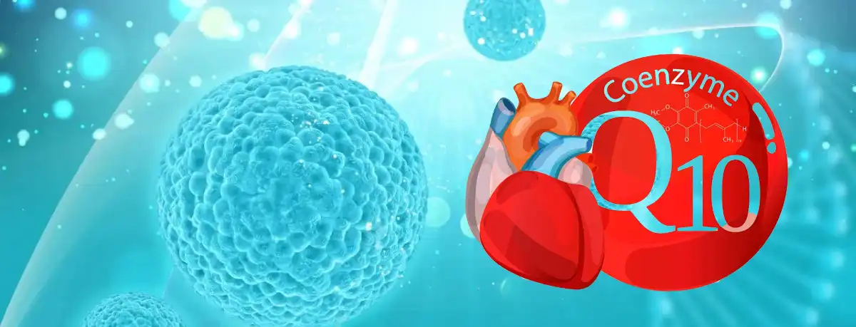 product-1-1 Product-1-1