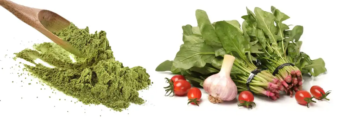 product-1-1 product-1-1