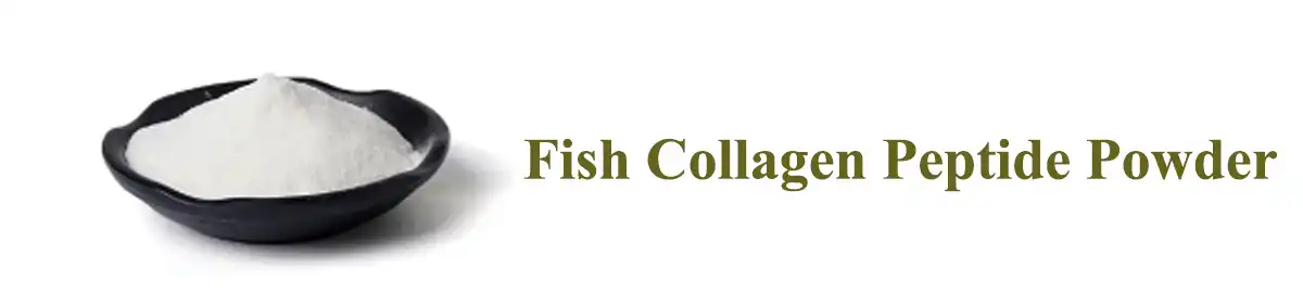 product-1-1 product-1-1