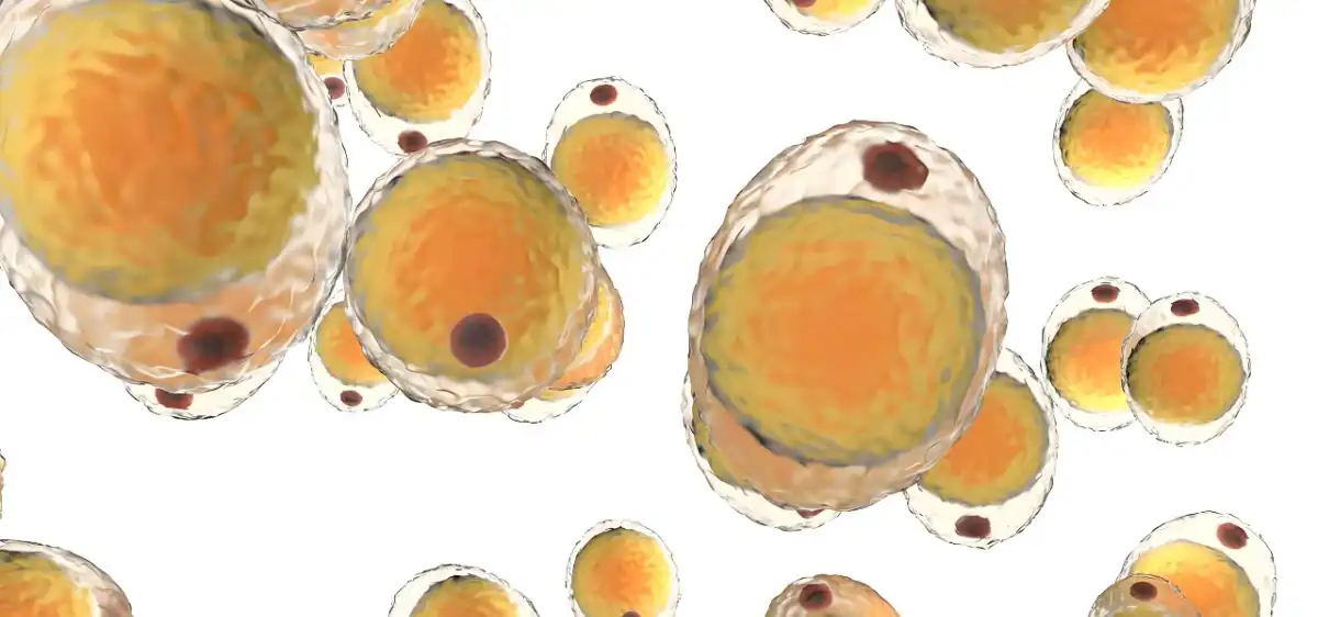 product-1-1 product-1-1