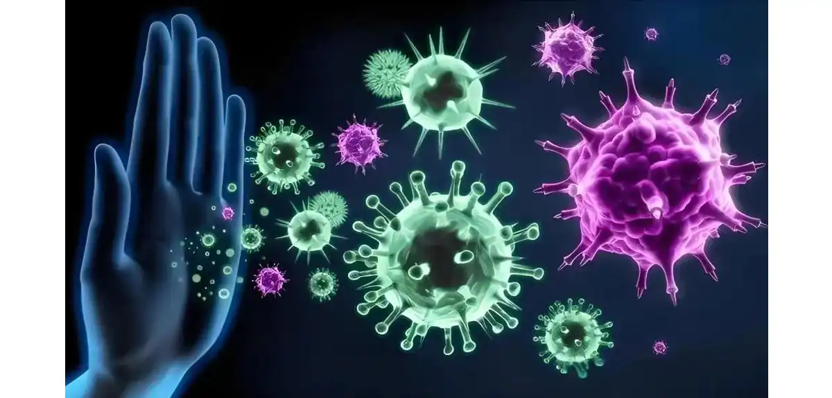 product-1-1 product-1-1