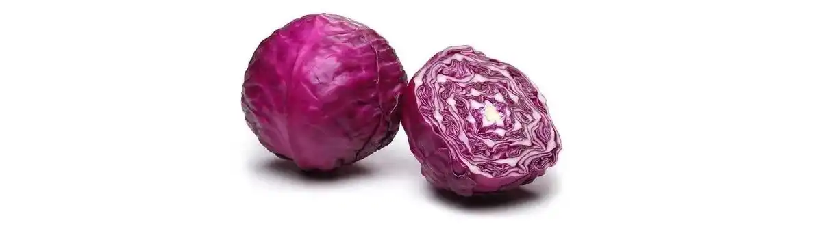 product-1-1 product-1-1