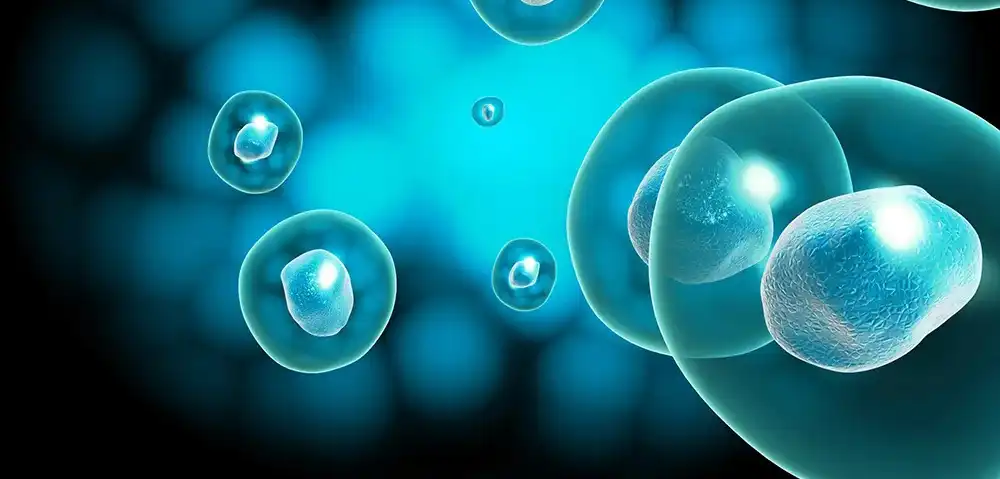 προϊόν-1-1 προϊόν-1-1