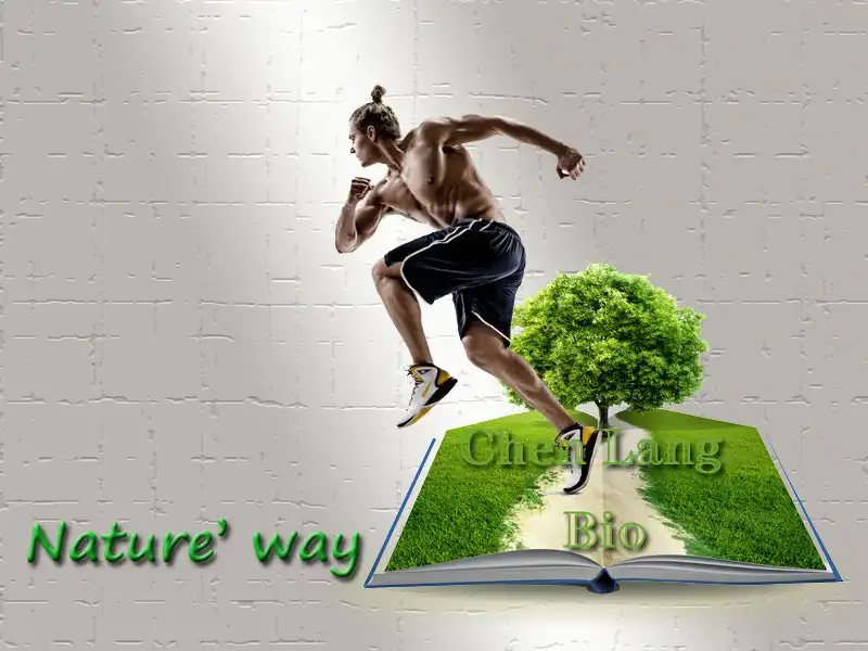 product-1-1 product-1-1