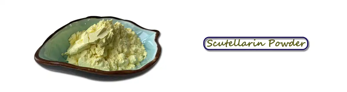 product-1-1 product-1-1