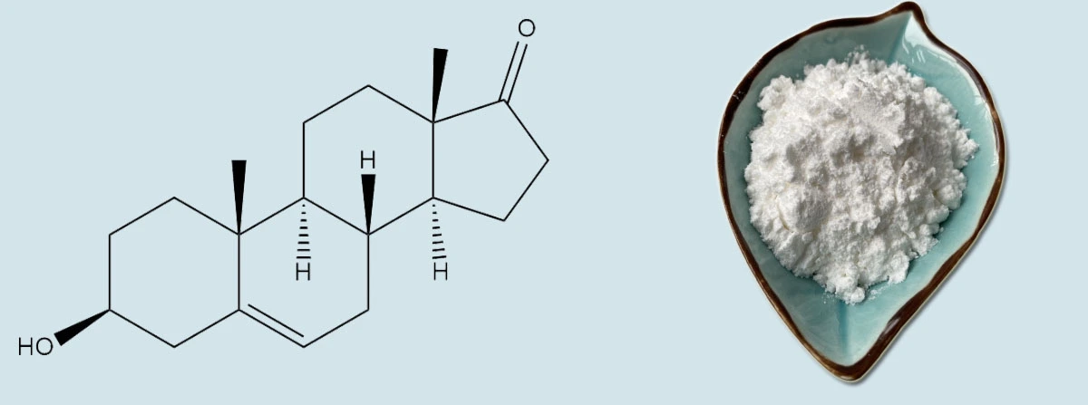 product-1-1 product-1-1