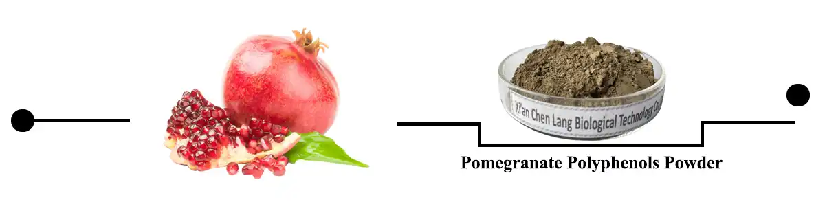 product-1-1 product-1-1