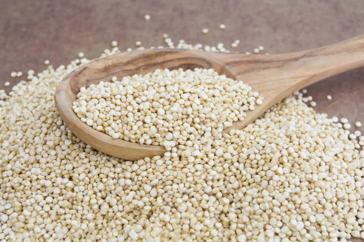 Chenopodium-Quinoa-Seed- Extract-Matters