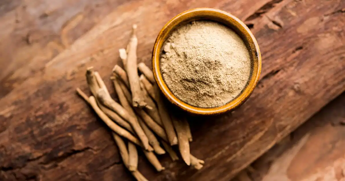 ashwagandha-extract-withanolides-manufacturer