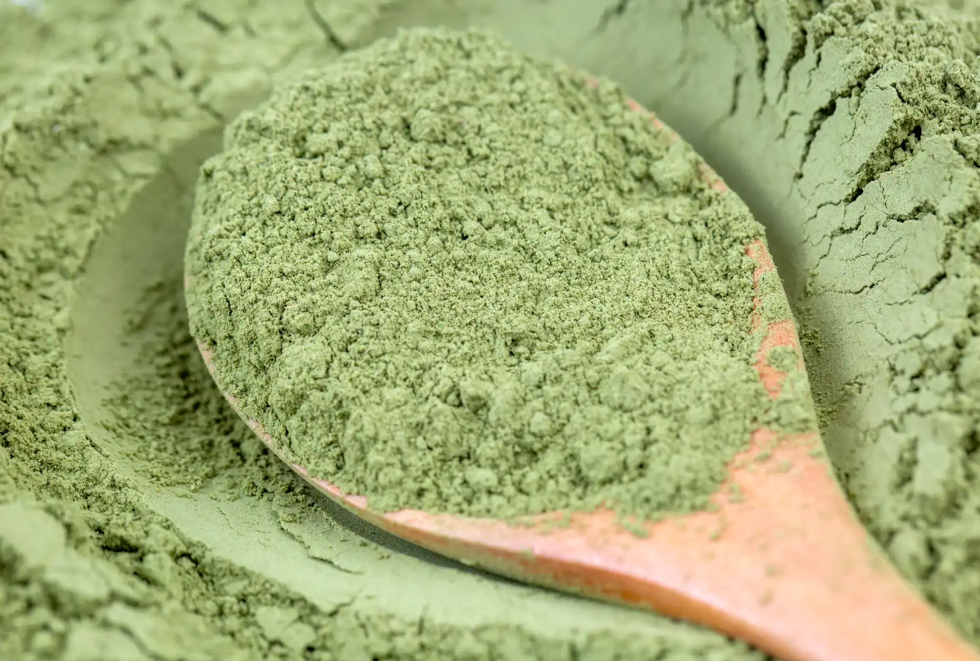 broccoli-extract-sulforaphane-supplier