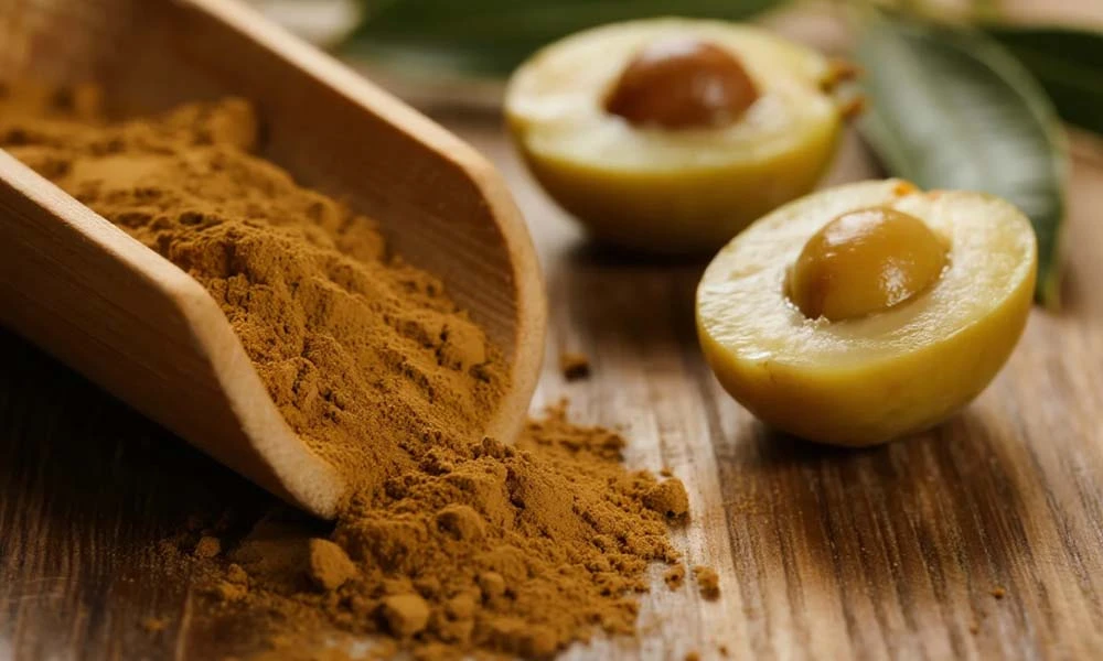 Oleuropein-Powder-manufacturer Oleuropein-Powder-manufacturer