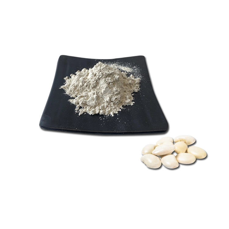 White-Kidney-Bean-Extract-powder White-Kidney-Bean-Extract-powder