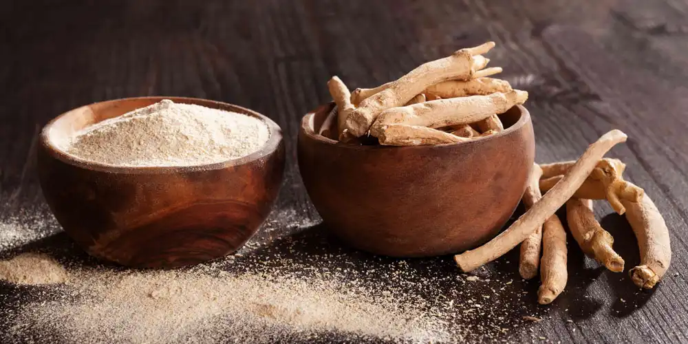 Ashwagandha-Extract-powder Ashwagandha-Extract-powder