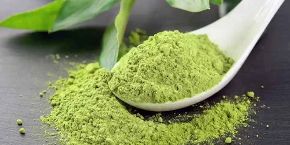 Myricetin: A Natural Antioxidant  Myricetin: A Natural Antioxidant