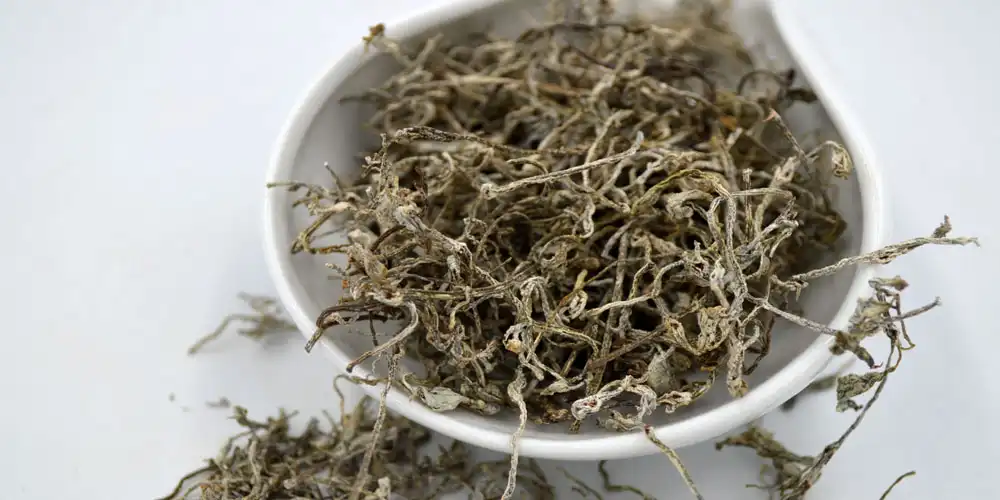 Myricetin-supplier Myricetin-supplier