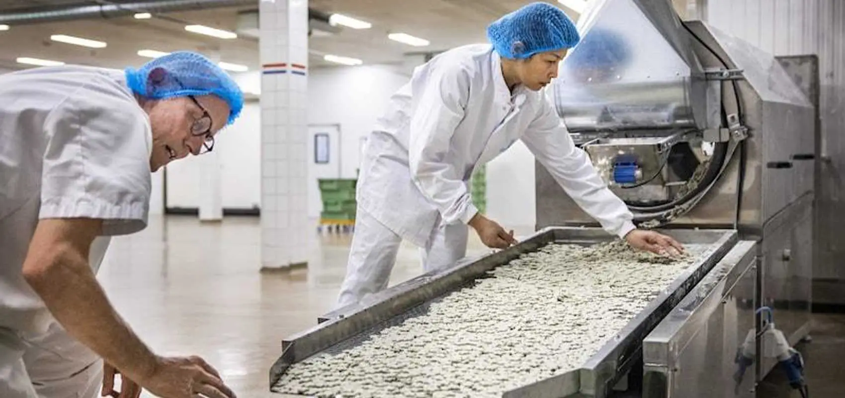 thaumatin-commercial-chewing-gum-production