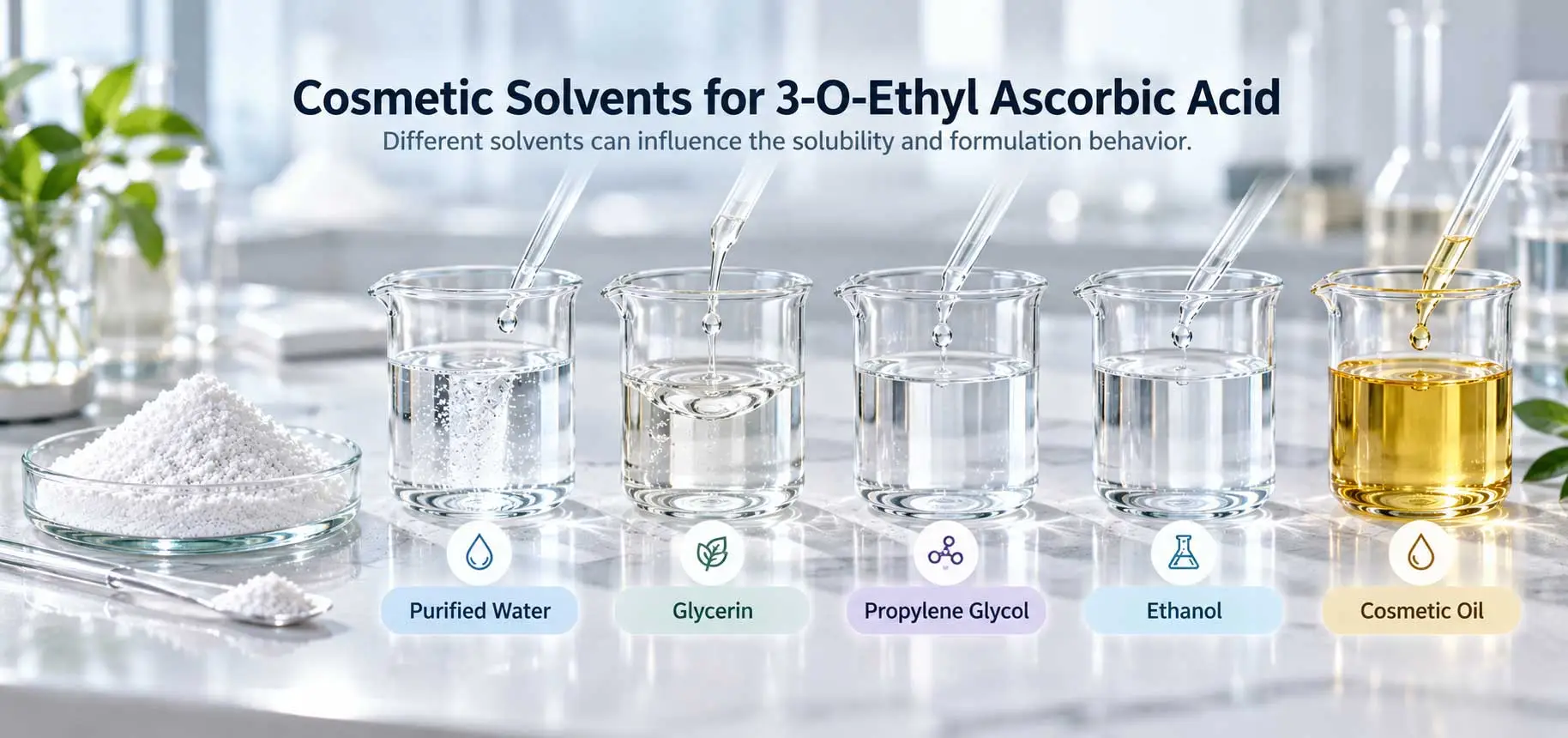 ethyl-ascorbic-acid-solvent-comparison ethyl-ascorbic-acid-solvent-comparison