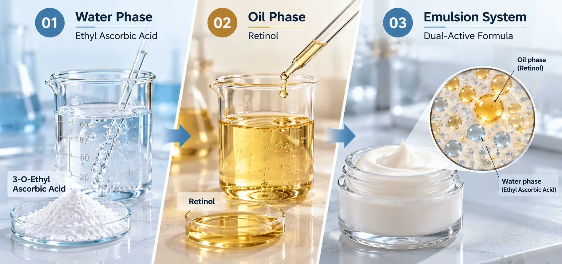 ethyl-ascorbic-acid-retinol-solubility-phase-selection