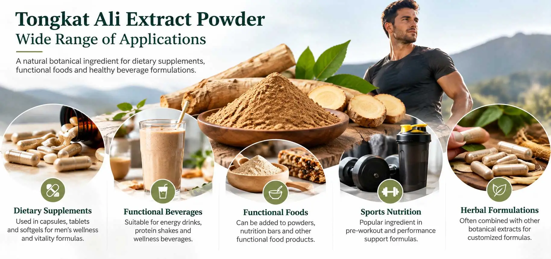 tongkat-ali-extract-supplement-applications tongkat-ali-extract-supplement-applications