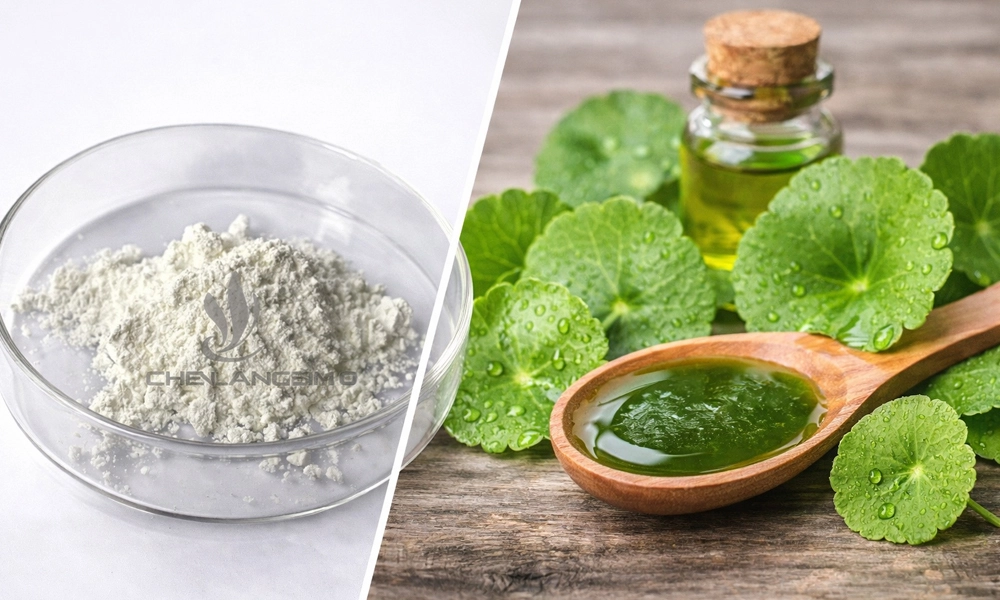 Madecassoside-Centella-Asiatica-Extract-Powder Madecassoside-Centella-Asiatica-Extract-Powder