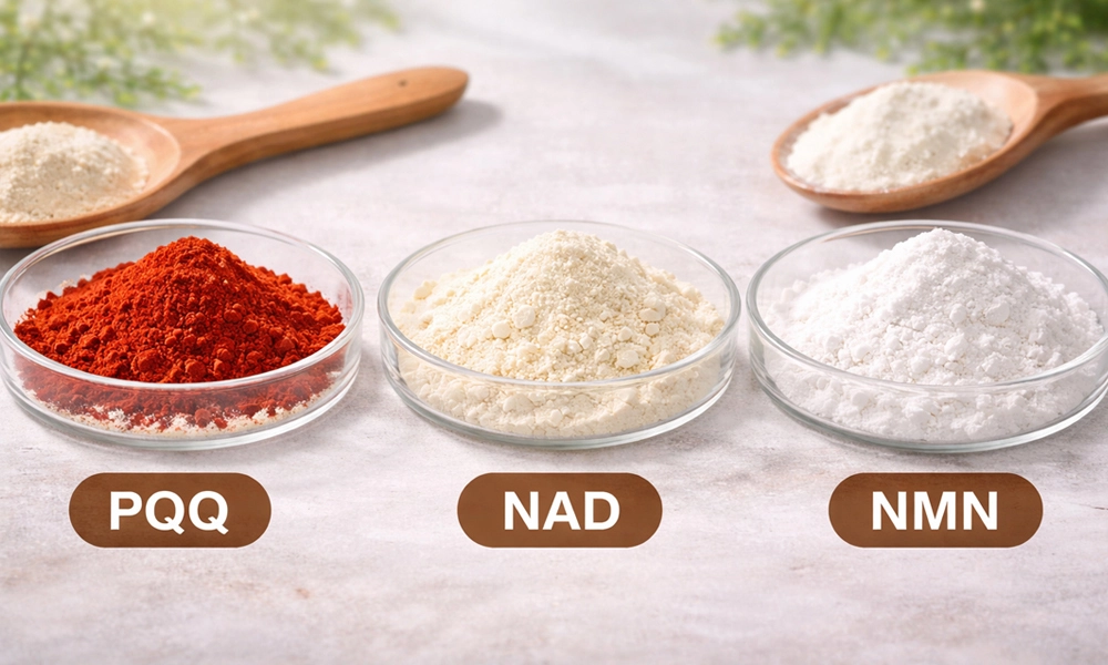 PQQ-vs-NAD-in-Dietary-Supplements