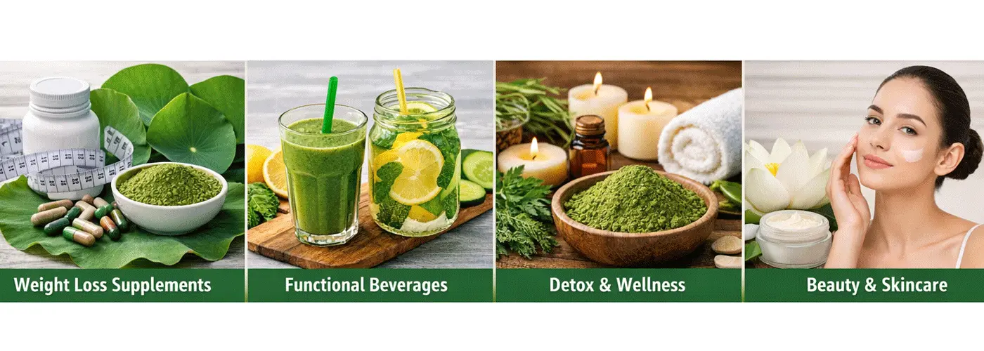 Lotus-Leaf-Extract-Powder-Benefits