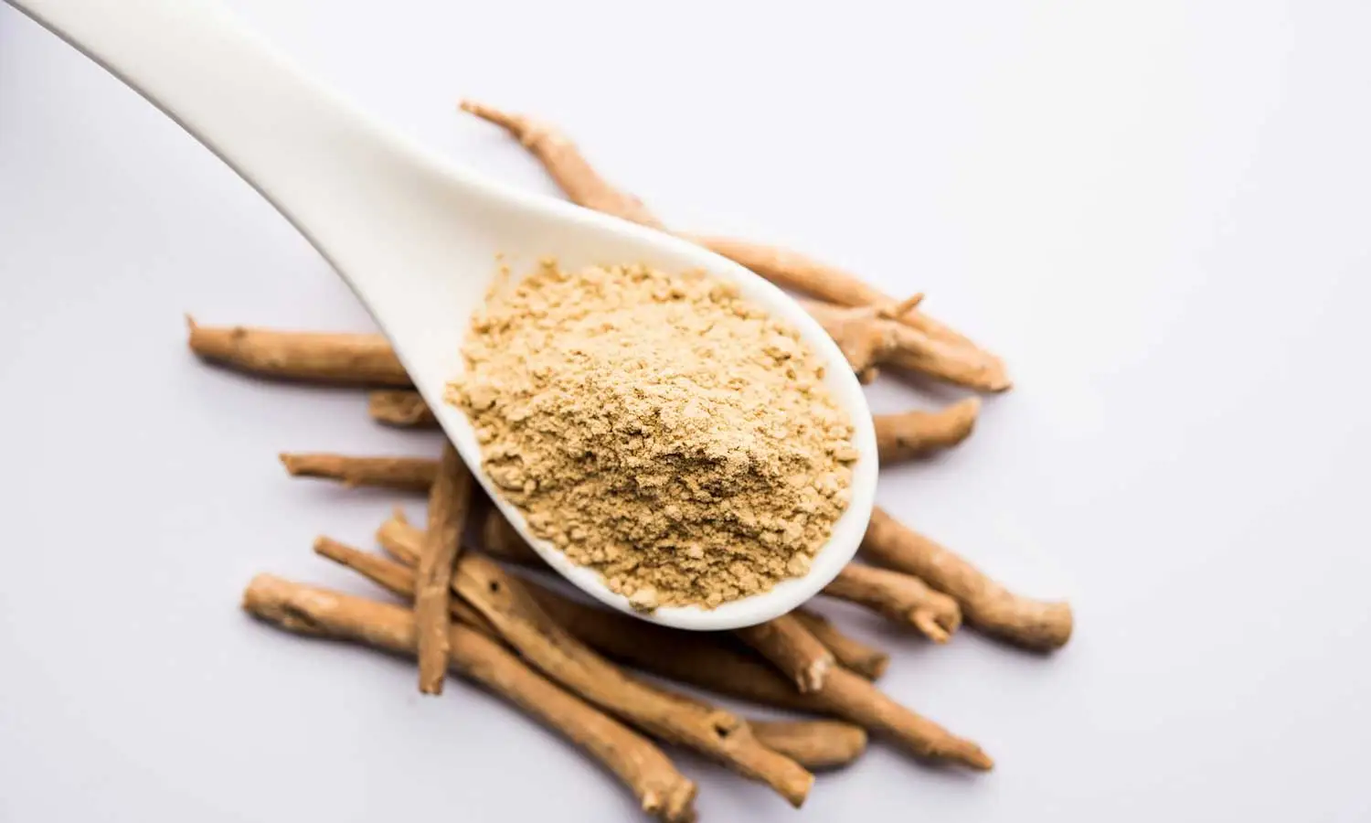 Ashwagandha-Extract-powder-10