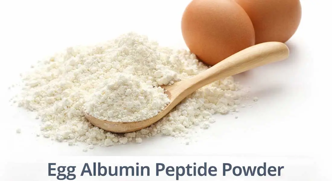 Egg Albumin Peptide Egg Albumin Peptide