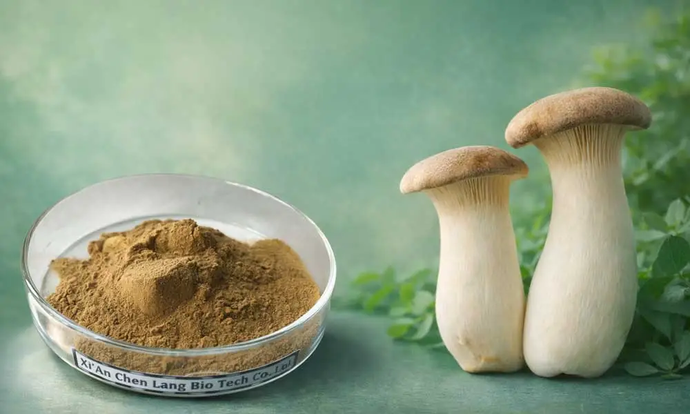 Pleurotus-Eryngii-Extract-Manufacturer Pleurotus-Eryngii-Extract-Manufacturer