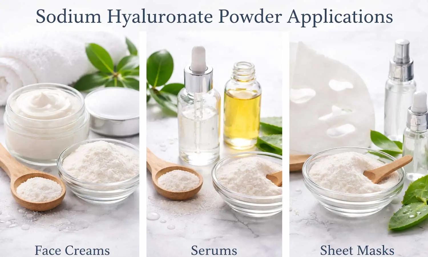 hyaluronic-acid-powder-for-anti-aging-formulation hyaluronic-acid-powder-for-anti-aging-formulation