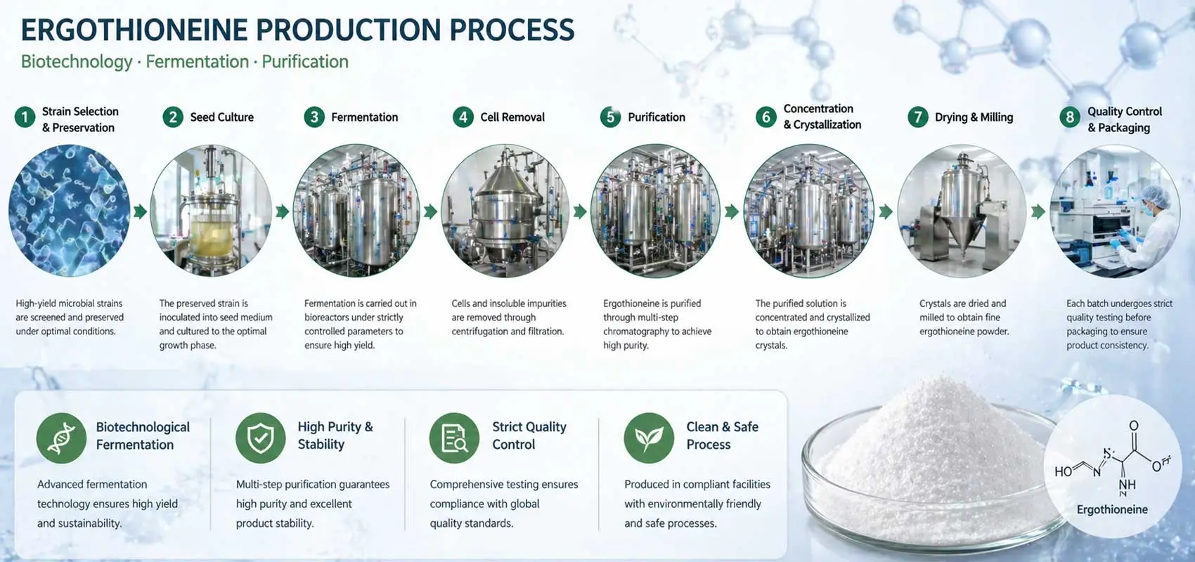 ergothioneine-production-fermentation-process