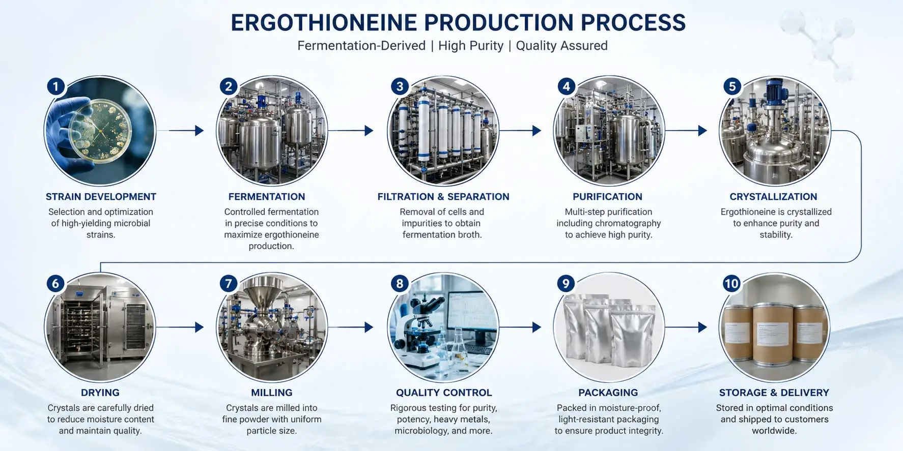 ergothioneine-fermentation-step