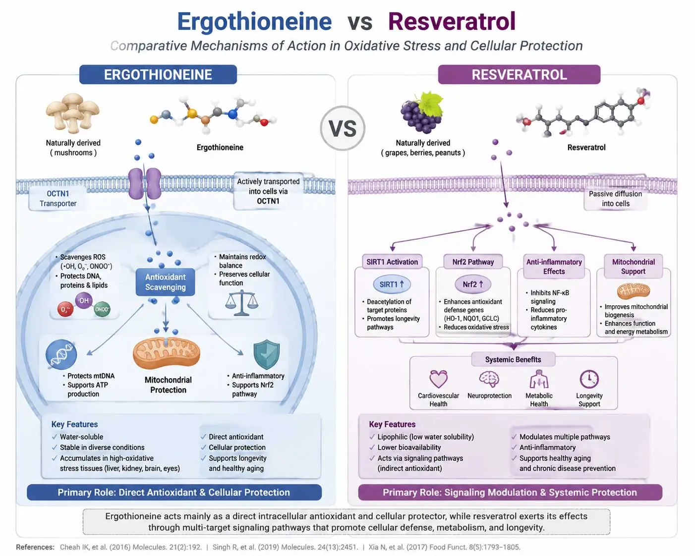 cellular-antioxidant-vs-polyphenol-mechanism
