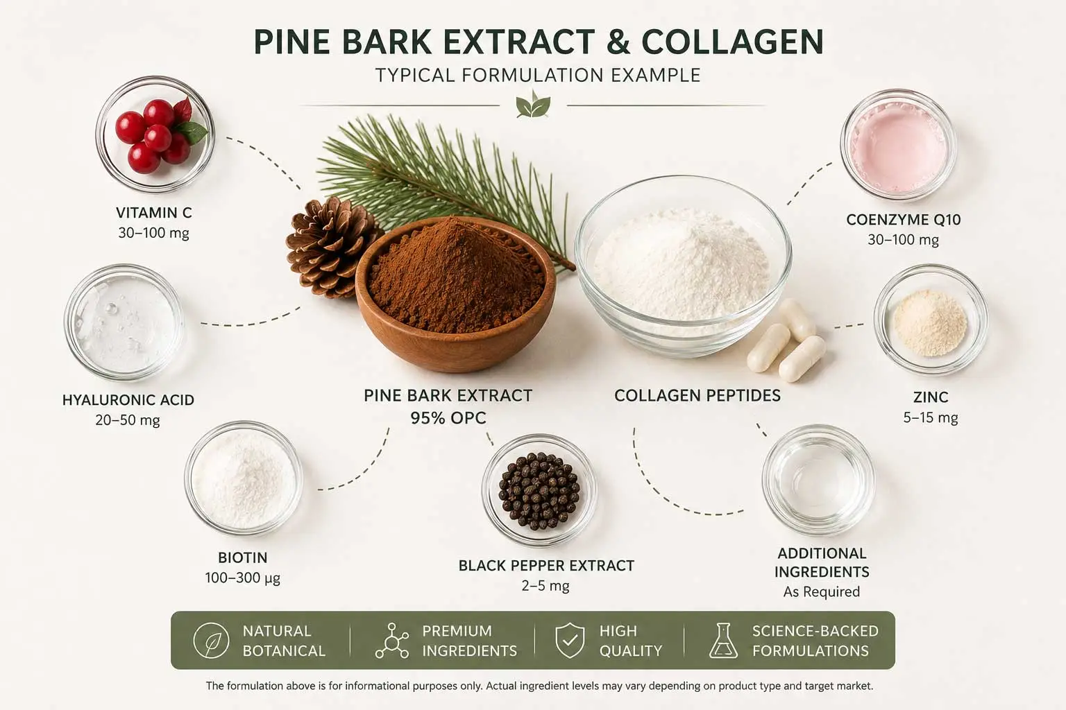 pine-bark-extract-collagen-applications pine-bark-extract-collagen-applications