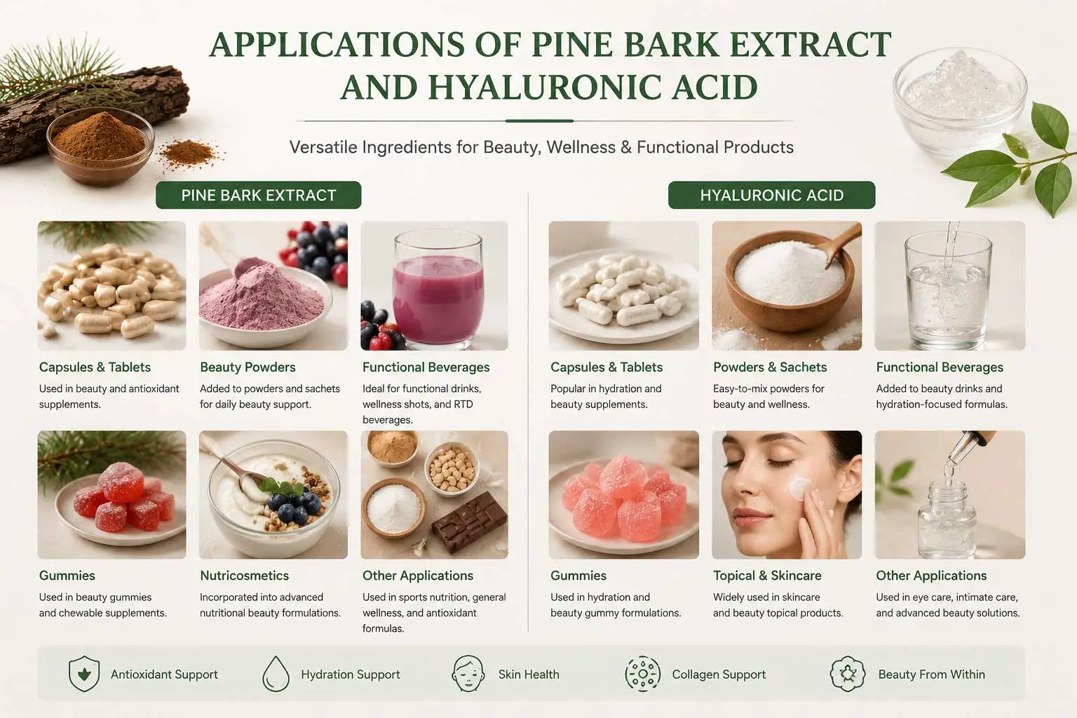 pine-bark-extract-hyaluronic-applications