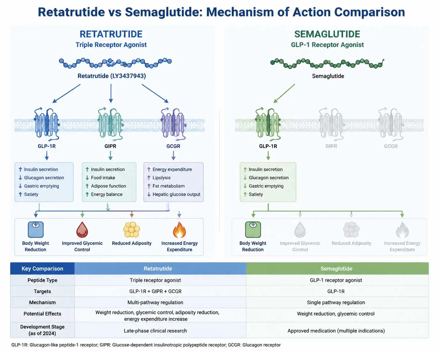 retatrutide-powder--vs-semaglutide-mechanism-comparison retatrutide-powder--vs-semaglutide-mechanism-comparison